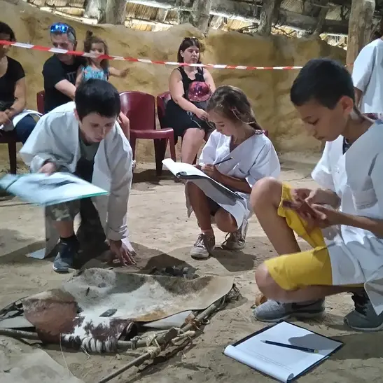 Animation familles Otzi, l'homme des glaces_1