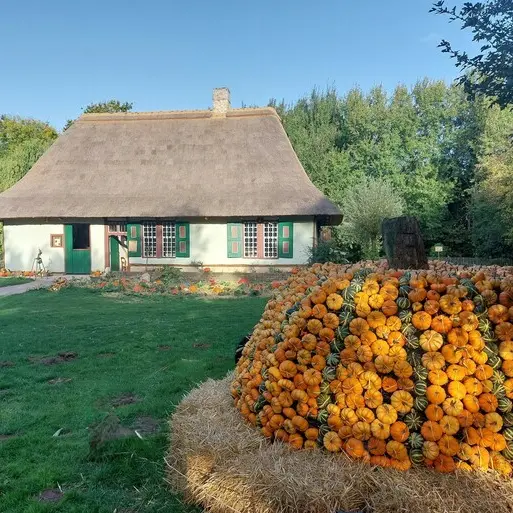 Fête de la citrouille_1