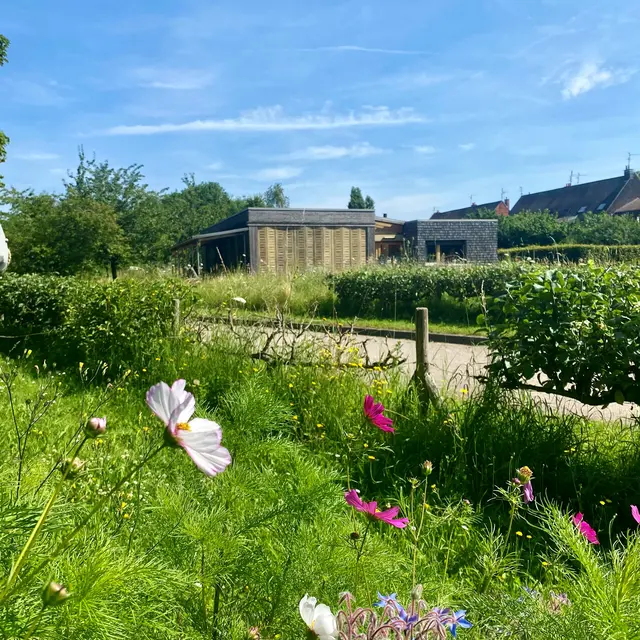Le jardin de Chlorophylle