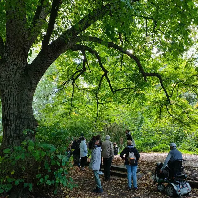 Balade naturaliste : 