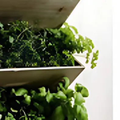 Jardinière murale_1