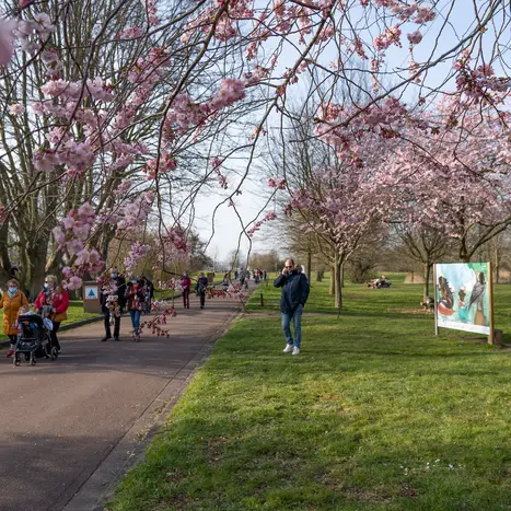 Balade naturalistes : Carnet d’Art, la biodiversité des zones humides_1