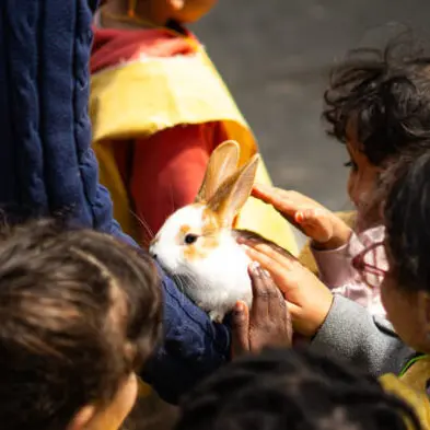 La ferme éphémère 2026_1