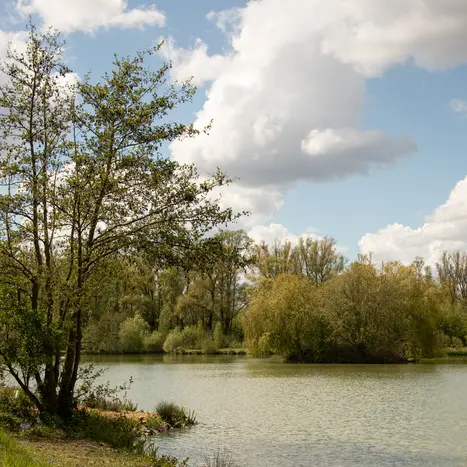 Balade naturaliste: exploration artistique_1