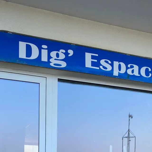 dig-1-1- (14)_1