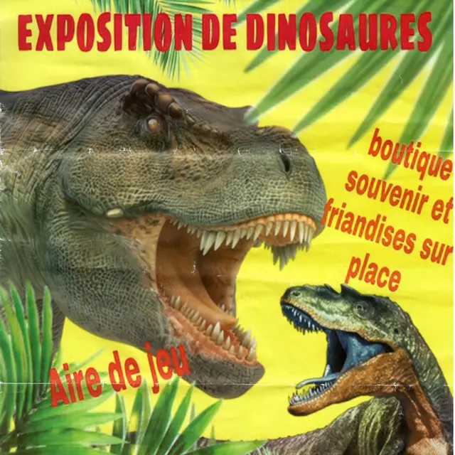 dinausore-anzin
