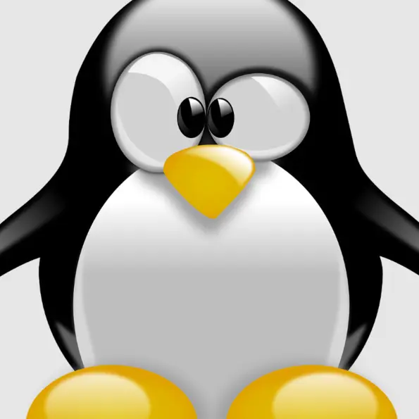 Linux Install Party_1