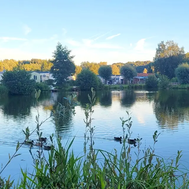 etangs camping 2