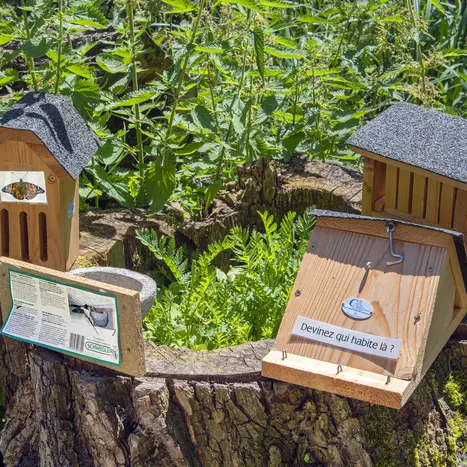 Offrez un refuge aux oiseaux_1