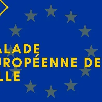 Balade européenne: sur les traces de l'Europe à Lille_1