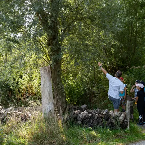 Balade naturaliste : une nature à (dé)peindre_1