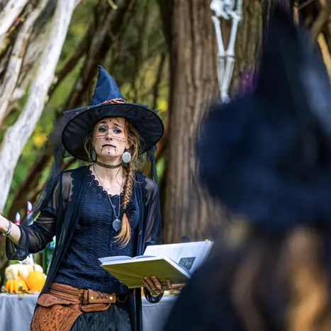 Balade naturaliste : Le marais comme vous ne l’avez jamais vu_1