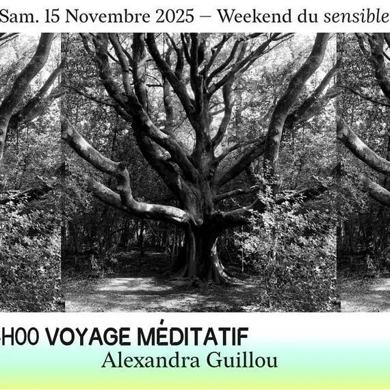 Voyage Méditatif - Alexandra Guillou_1