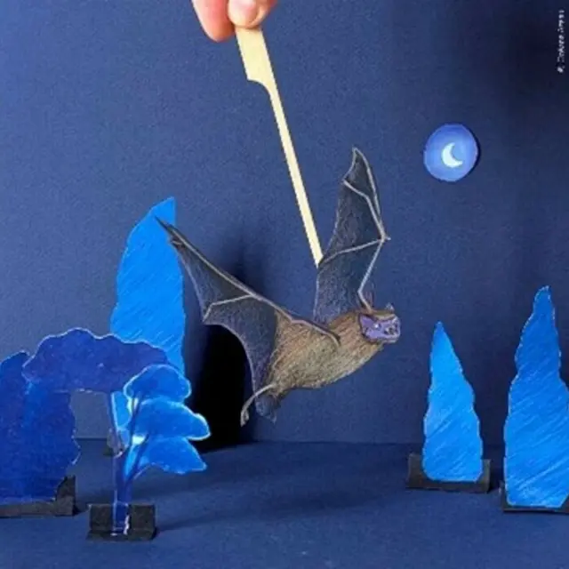 Atelier d’été : Théâtre de papier, les chauve souris en scène !_1