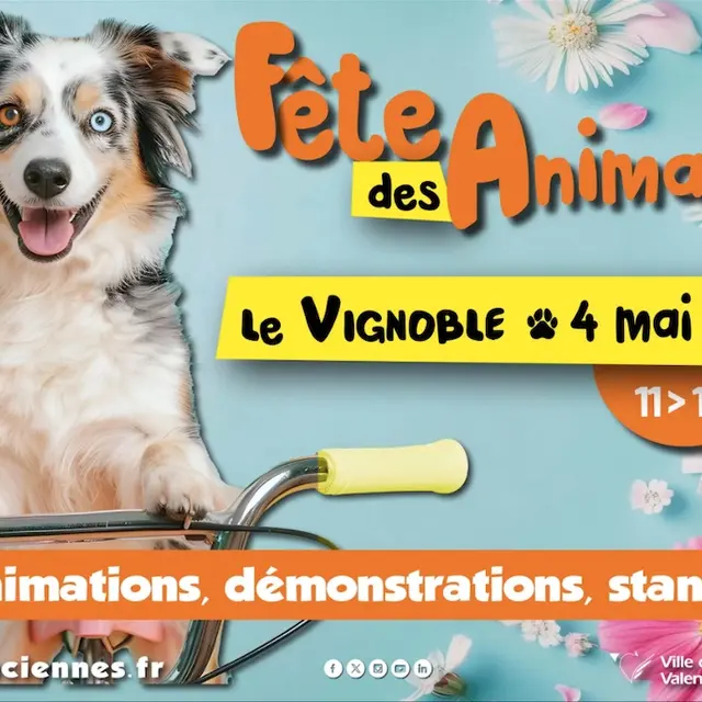fete-animaux-valenciennes