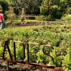 jardin vertueux