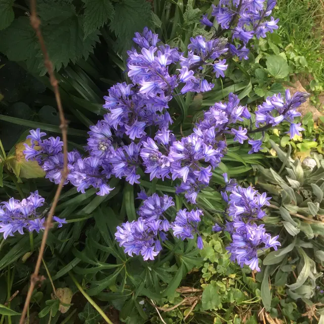 jardin citadelle