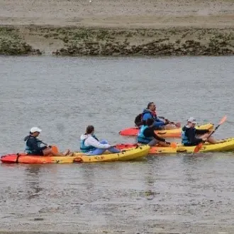 kayak (5)_1