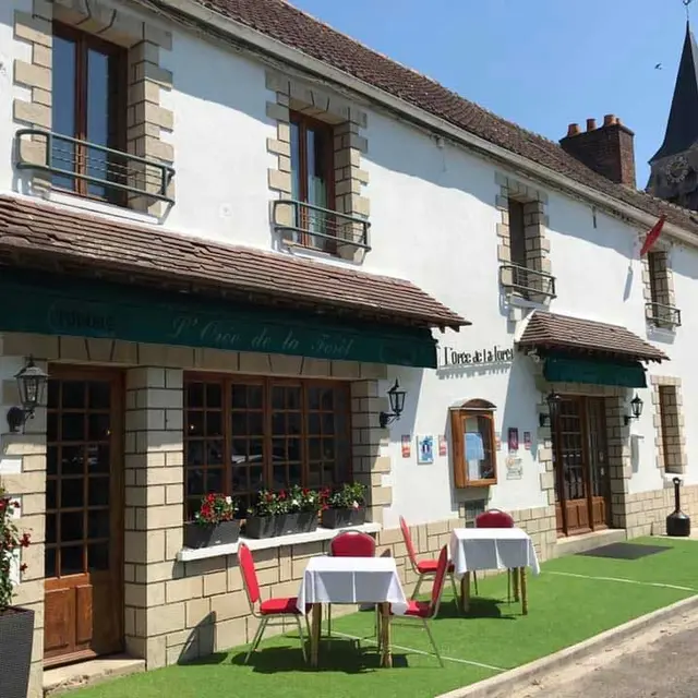 l'orée de la foret