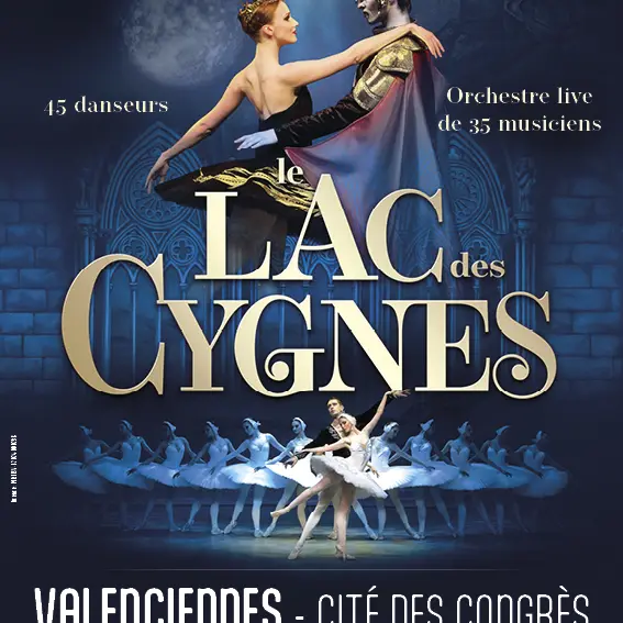 le-lac-des-cygnes_-40x60-valenciennes