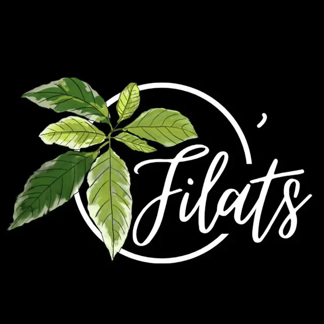 logo o filats