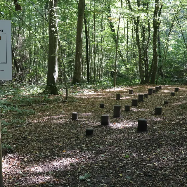 parcours santé bois magneux
