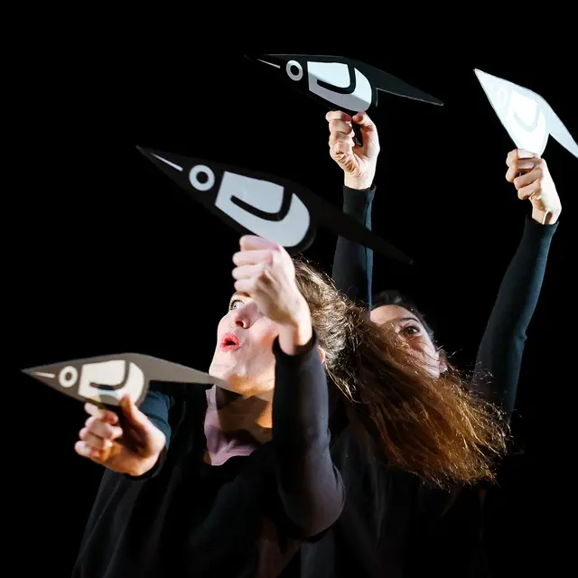 spectacle-zebres-valenciennes-cie-zapoi