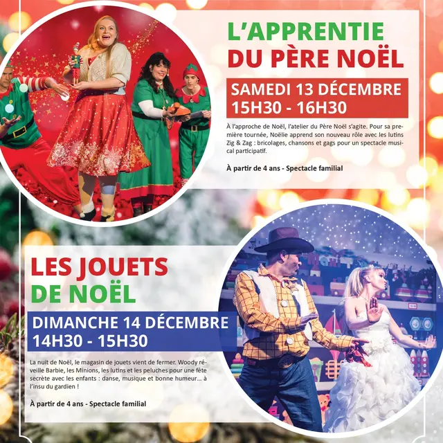 spectacles-noel-bruay