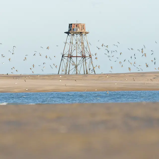 Phare de Walde