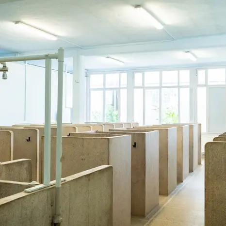 Visite des douches du Paris-Roubaix_1