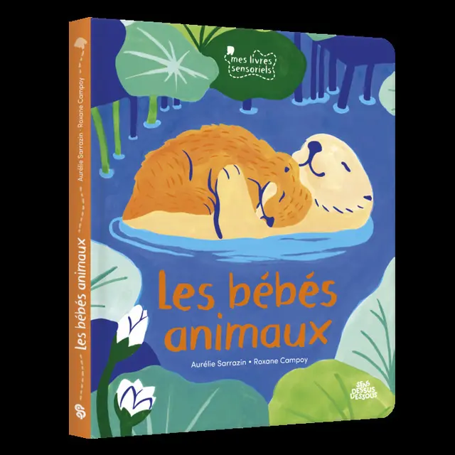 Rencontres et Dédidaces avec Roxane Campoy_1