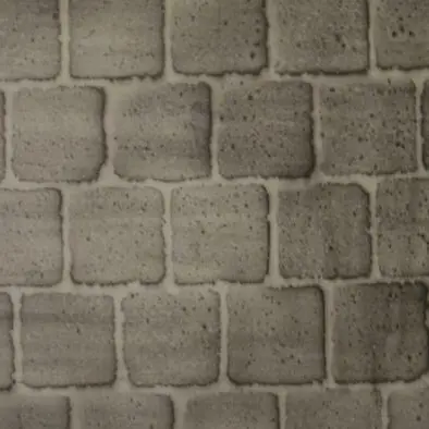 Dissimuler / révéler_1