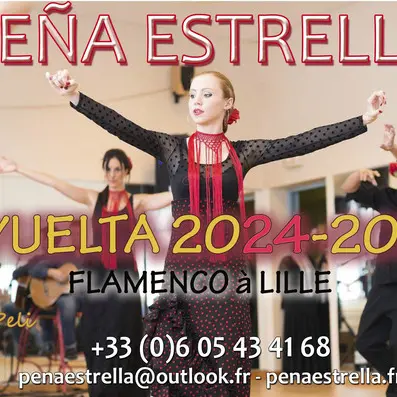 Cours de danse Flamenco_1