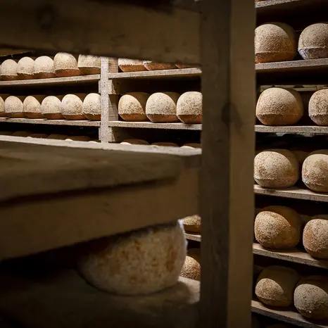 Visite guidée de la Maison César Losfeld_1