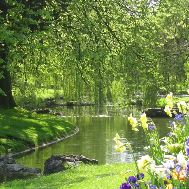 Visite guidée Le parc Barbieux en photographies_1