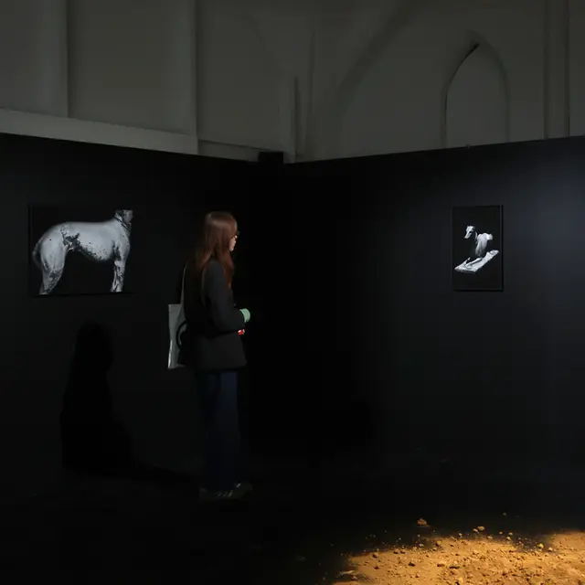 Exposition de la saison_1