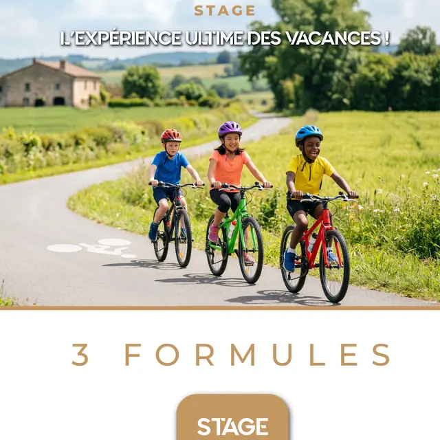 Stage Renardeaux_1