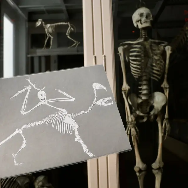 Les petits labos du Musée - Invente un monstre / Fives_1