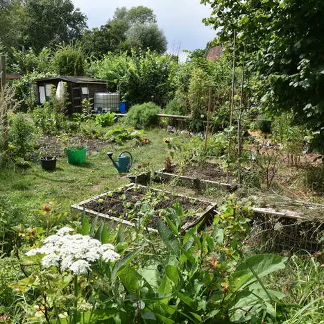 Découverte animée de la ferme du Héron_1