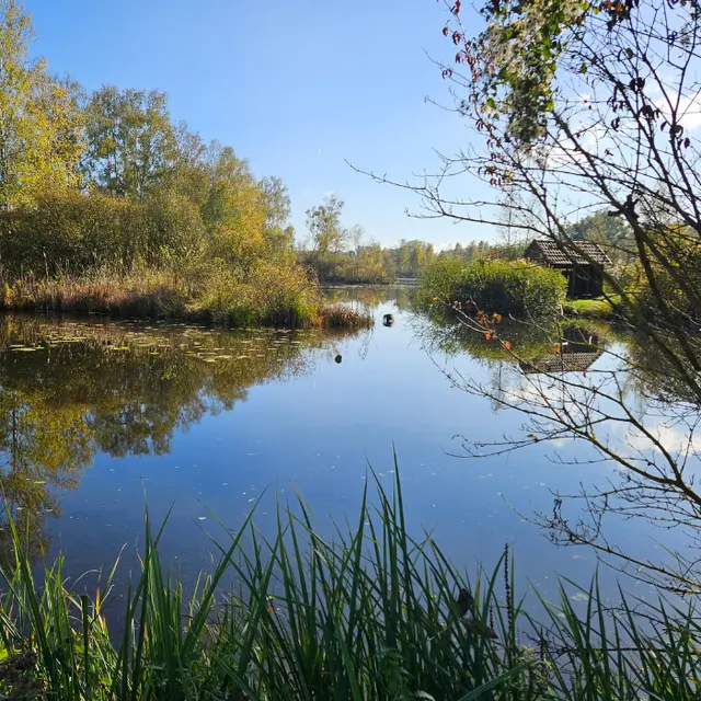 Marais de Génonville
