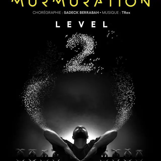 Murmuration Level 2_1