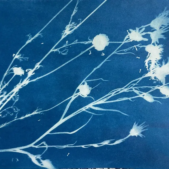 Atelier cyanotype au Musée du Terroir_1