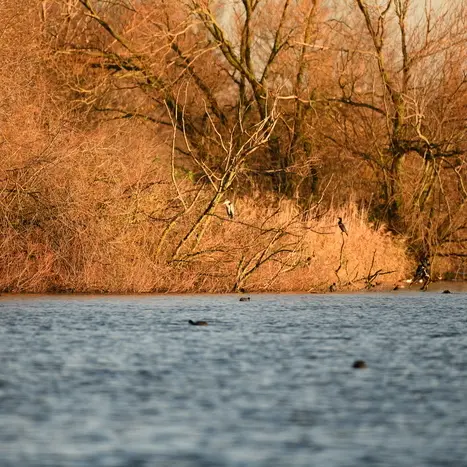 Balade naturaliste : palette automnale_1