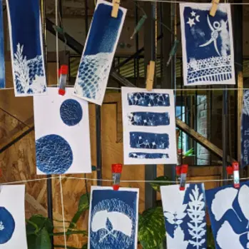 Atelier cyanotype_1