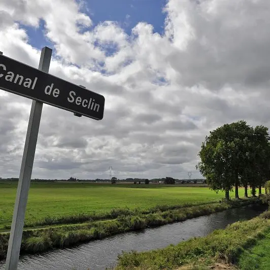 Champs captants sur les abords du canal de Seclin à Houplin Ancoisne