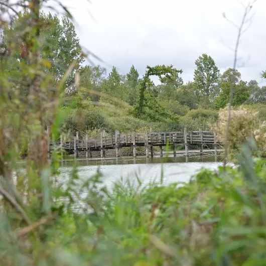 Marais de Fretin