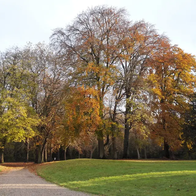 Parc Chaalis