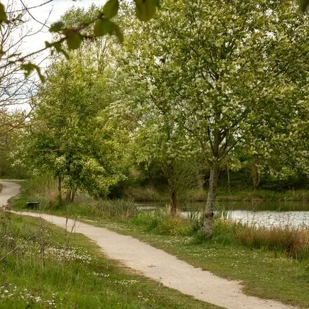 Balade naturaliste : 