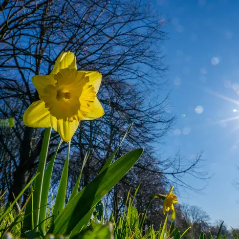Palette de fleurs et de plumes_1