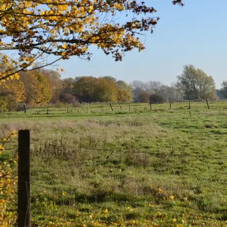 Balade naturaliste : 
